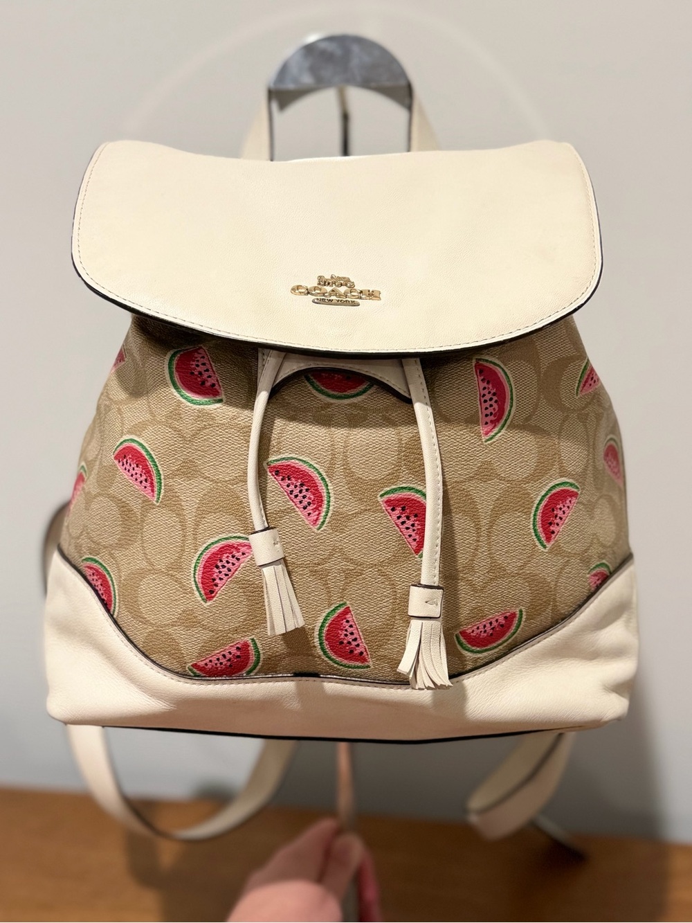 Coach Elle Signature Watermelon Drawstring Backpack